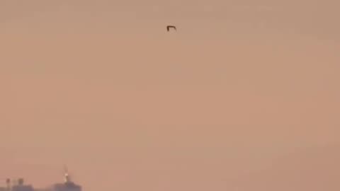 FLAT Earth in 51 seconds