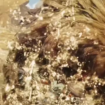 Monster Hunter Wilds Fight Animations #monsterhunterwilds #capcom #bovcast