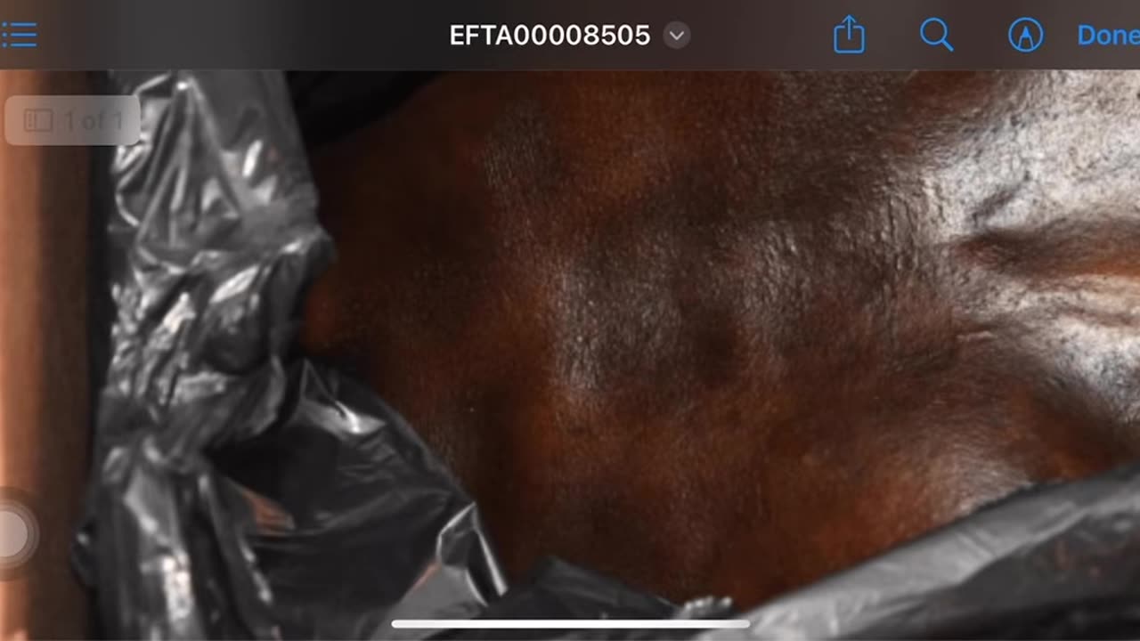 Torso and dog found at Epstein’s residence