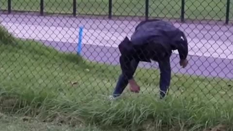Parkour with Emojis. Pt 14