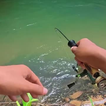 Fishing in Beautiful River
