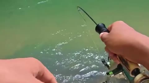 Fishing in Beautiful River