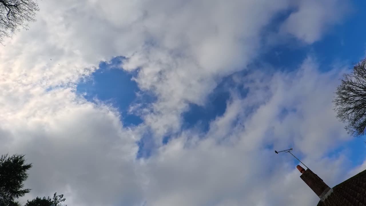 Sky Watch #501 - 2/2/2025