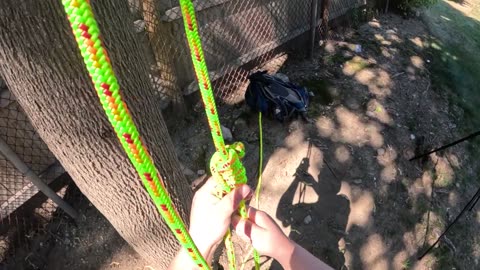 OPEN & CLOSED Moving Rope Systems (MRS/DRT) - Tutorial & Discussion for Arborists & Tree Climbers