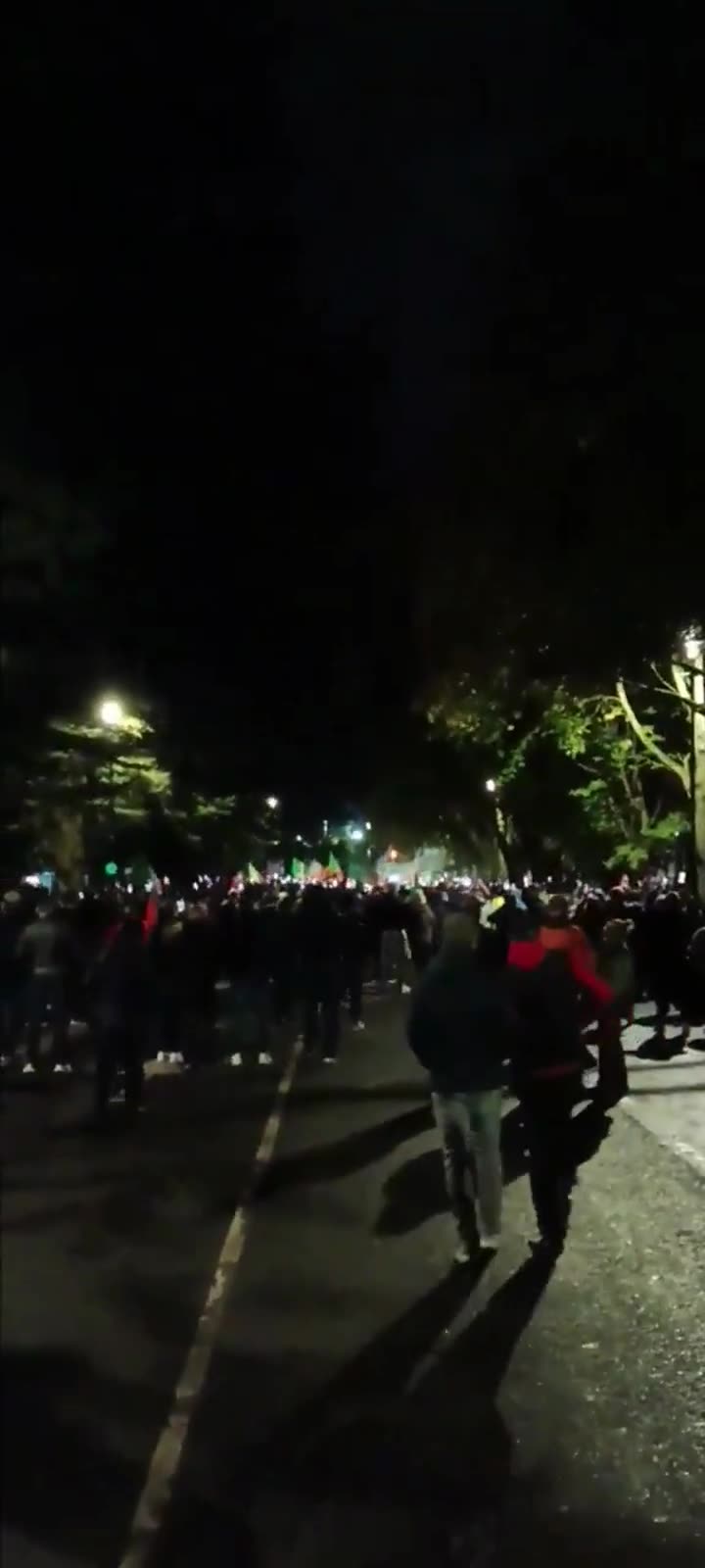 Dublin Protests After Illegal Migrant Rapes Girl