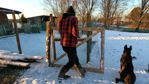 Making The GATE For The Mushroom Coop! // Whitt Acres