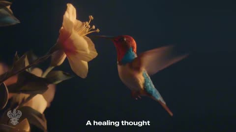 Everything Praises - Bilal Reggae ｜ New English Nasheed ｜ Mystic Meditation Records