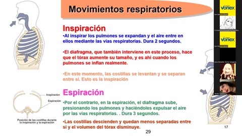 VONEX SEMIANUAL 2025 | Semana 11 | Anatomía