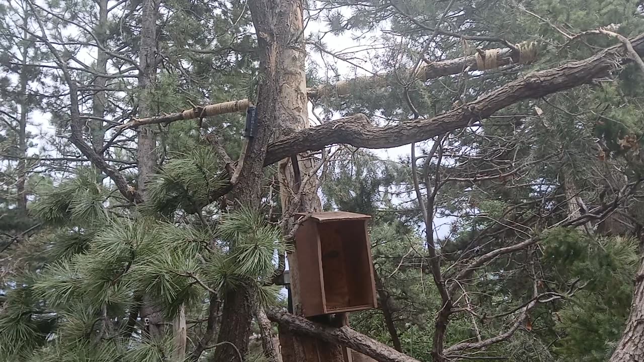 Cheyenne Mountain Zoo Part 36