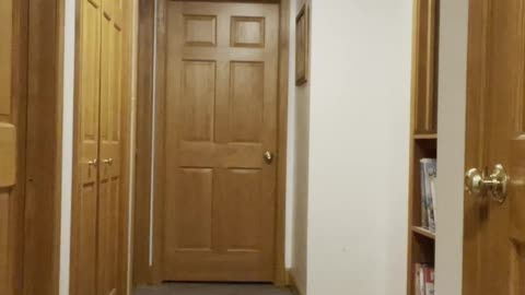 Exercising Everyday till I'm fit Day 64 #exercise #fitness