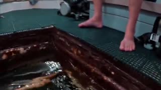 Meet the Man who lives under the water