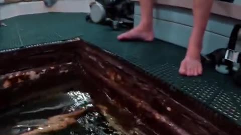 Meet the Man who lives under the water