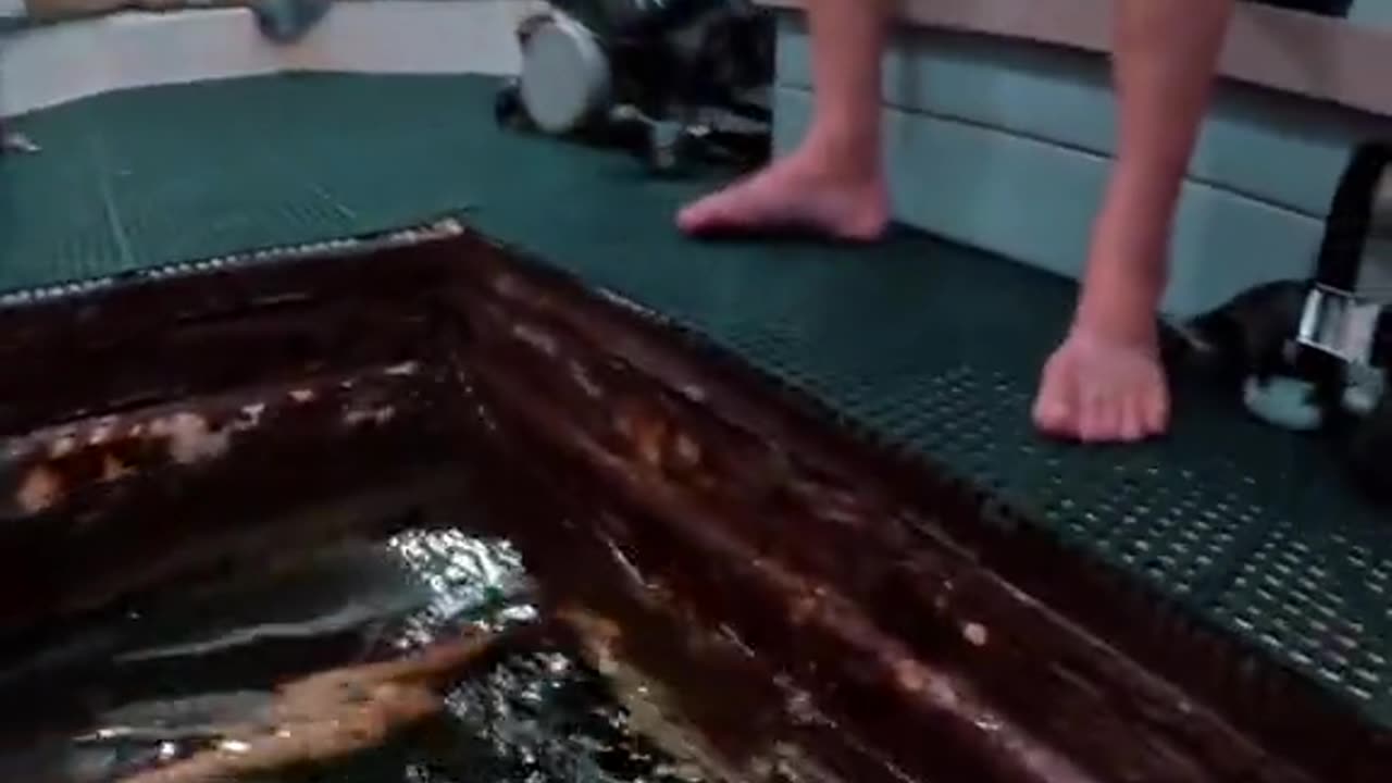 Meet the Man who lives under the water