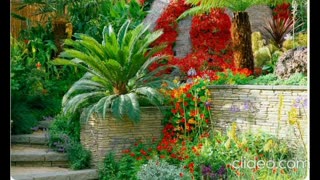 A VERY STRANGE DREAM