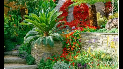 A VERY STRANGE DREAM