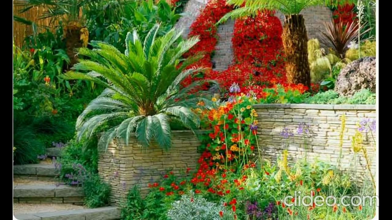 A VERY STRANGE DREAM