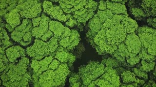 Indie Lofi Classics for Work