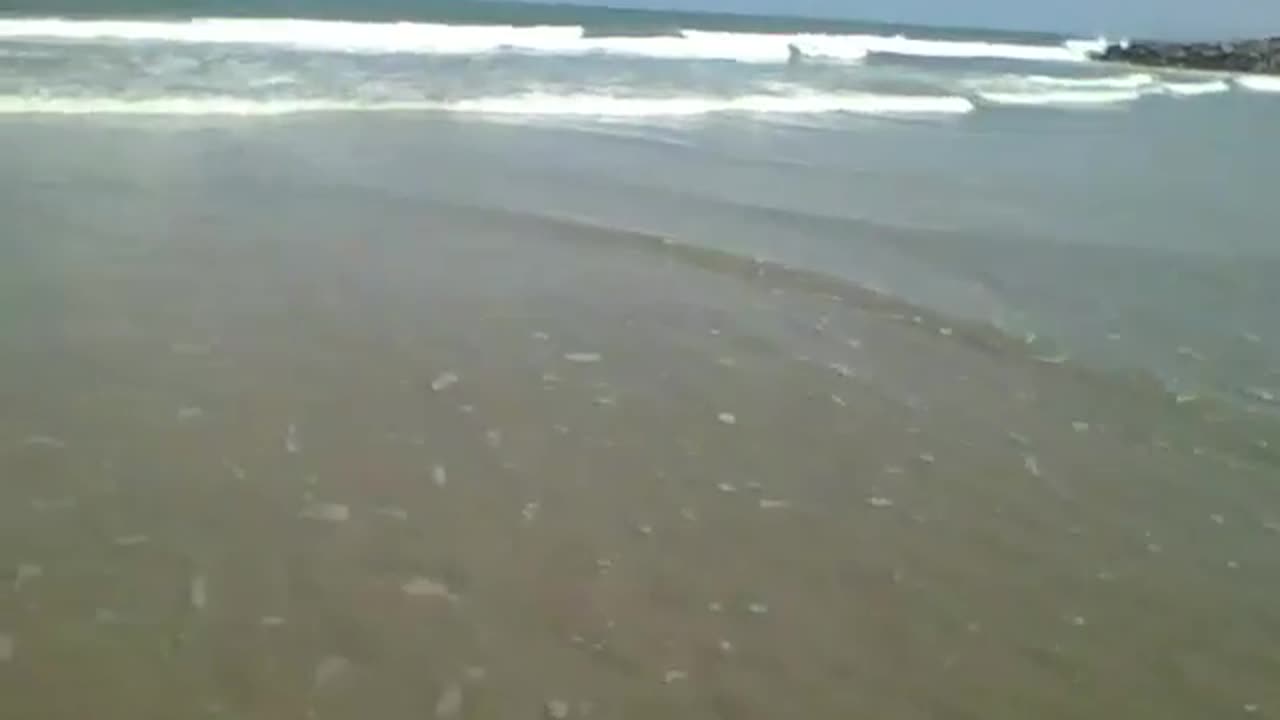 Filming the beautiful waves of the ocean close, on the edge of the beach [Nature & Animals]