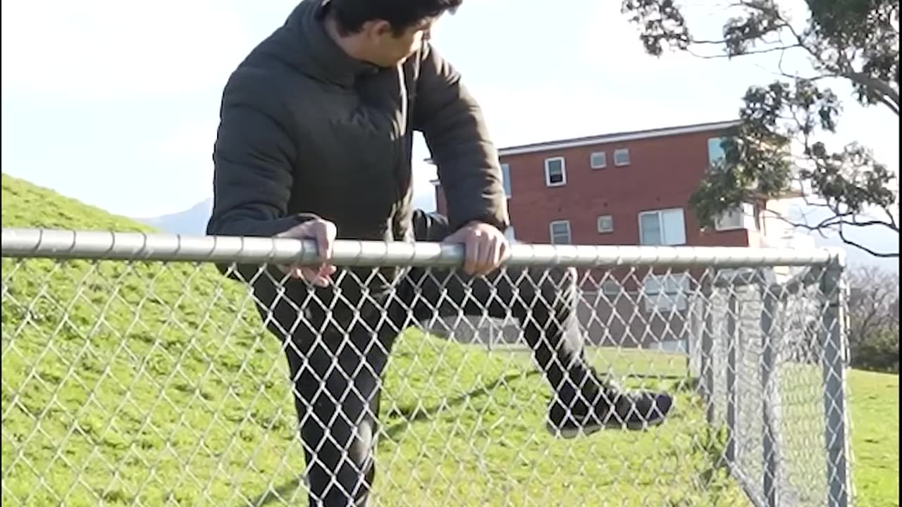 How different animals get over a fence (Compilation)