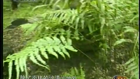 China Central TV CCTV3 September 12, 2001 1000am-1030am CST