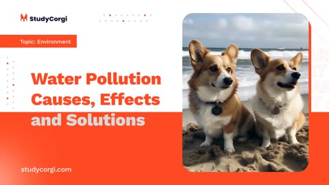 Water Pollution Causes, Effects and Solutions - Essay Example