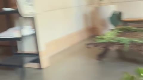 My Toddler Cuddles Up to a Random Grandma