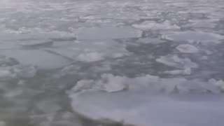 ICE ON THE HUDSON: The Hudson River has been taken over by floating ice chunks as New York City