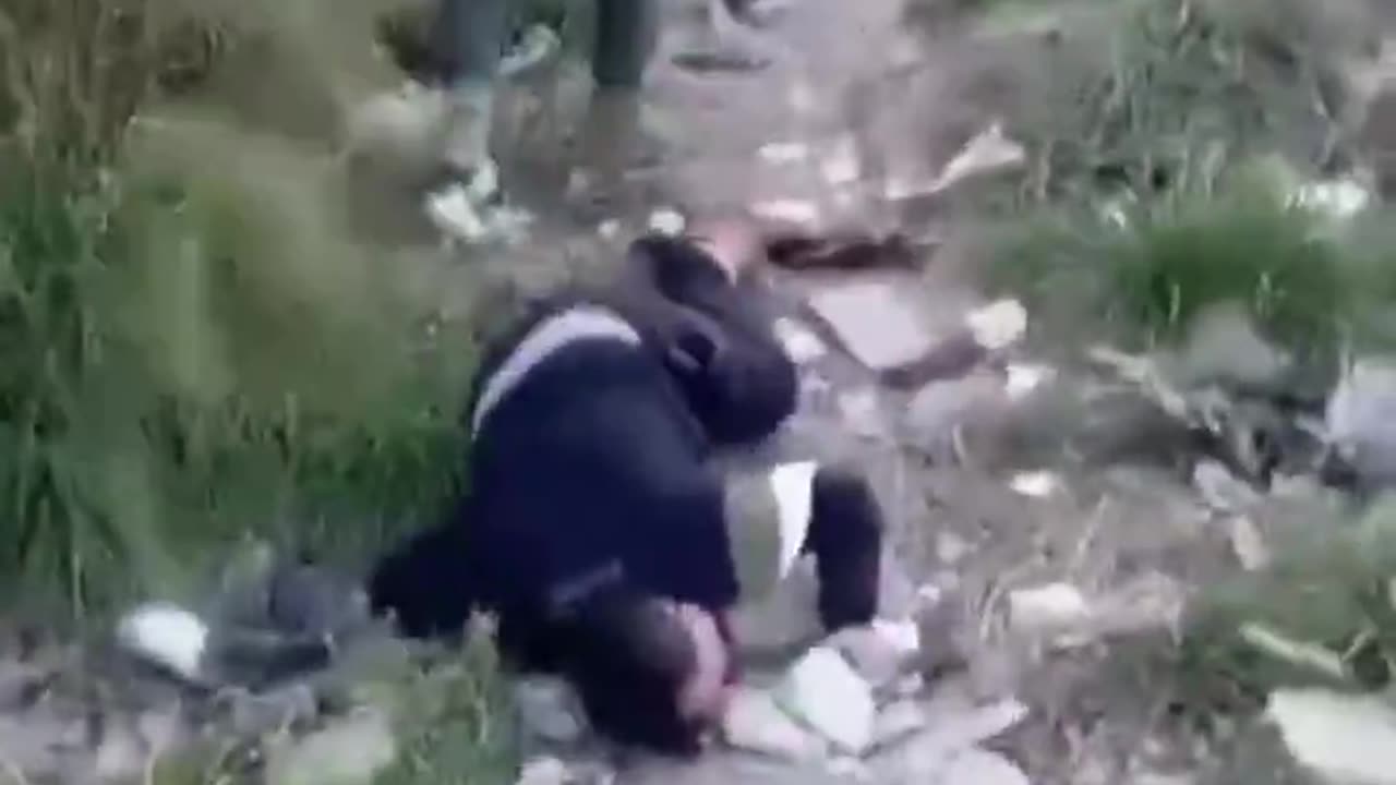 Muslims are forcing other Muslims to crawl and bark like dogs as Syria descends further into chaos 2