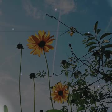 “Your Healing Starts With One Brave Moment”