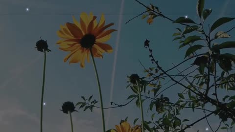 “Your Healing Starts With One Brave Moment”