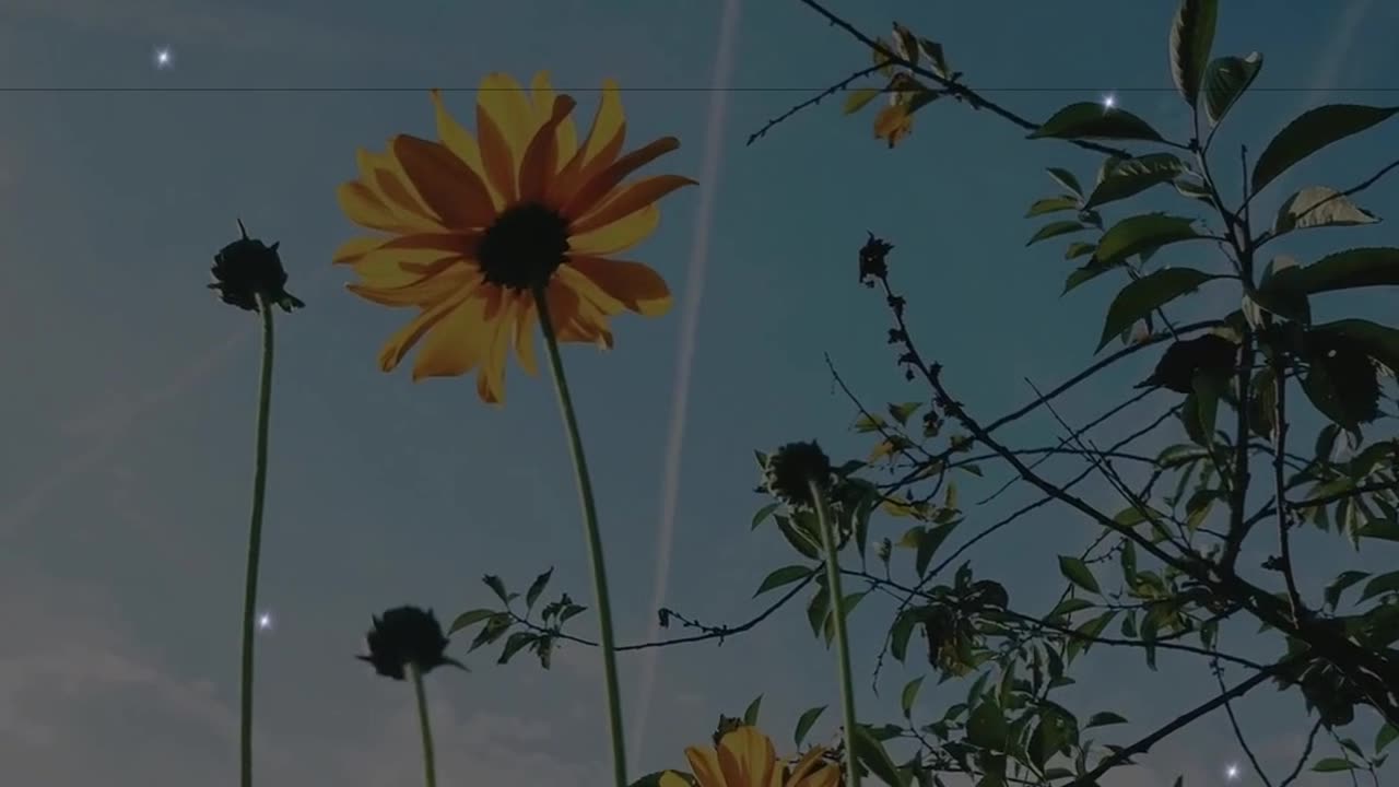 “Your Healing Starts With One Brave Moment”