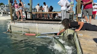 Giant Tarpon INHALES My Arm at Robbie's Marina! THIS PLACE IS AWESOME!