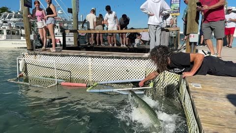Giant Tarpon INHALES My Arm at Robbie's Marina! THIS PLACE IS AWESOME!