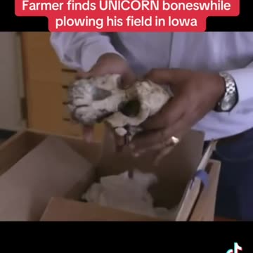 farmer finds UNICORN bones while plowing his field in Iowa