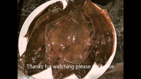 Flounder spearing NZ