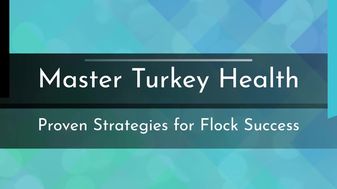Master Turkey Health: Proven Strategies to Prevent Diseases and Boost Flock Productivity