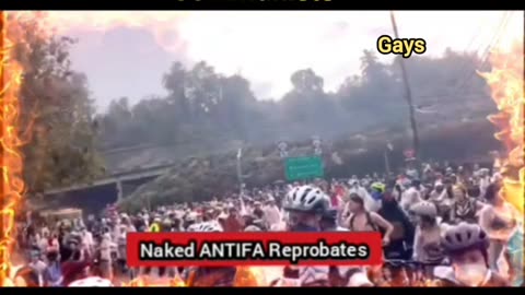 REPROBATE PARADE, NOT PROTEST