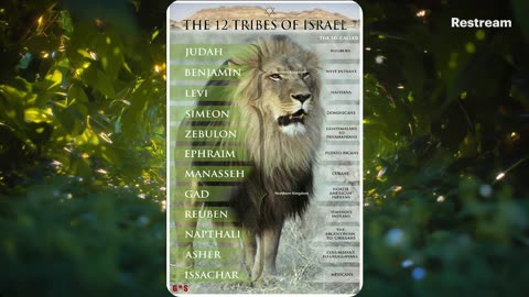 Hedge Fund Billionaire warns USA entering a CIVIL WAR #BIBLE #PROPHECY