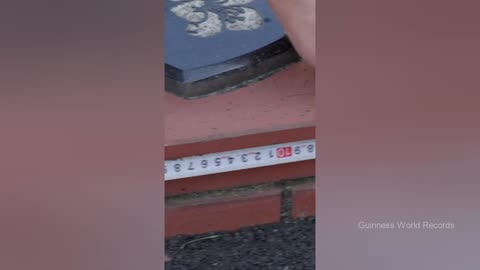 FYI__How_tiny_is_the_world_s_smallest_park_