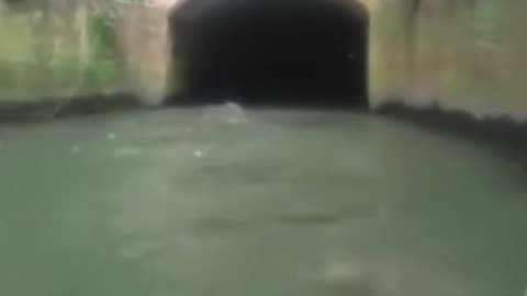 Mysterious River Creature Caught on Camera
