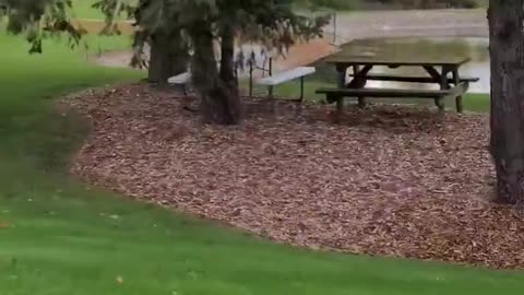 Angry pink-haired leftist screeches and harasses two men, asking if they support Trump,