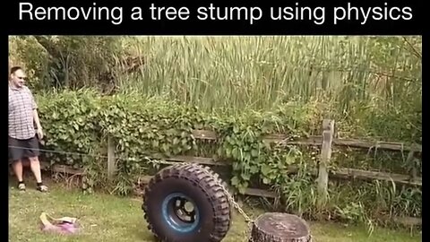Removing a tree stump using physics