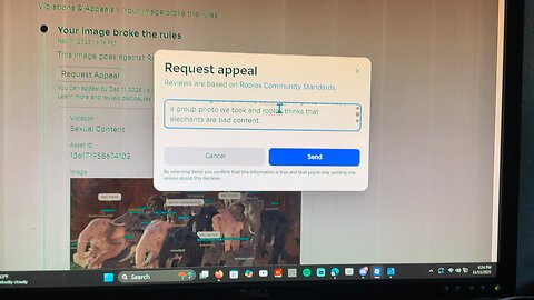 Roblox moderation banning good players