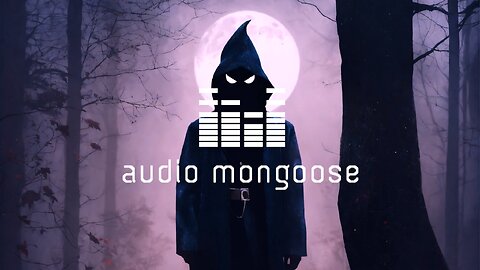 Drum & Bass - Mongoose @ 'NEXUS Forest Funk' 2025