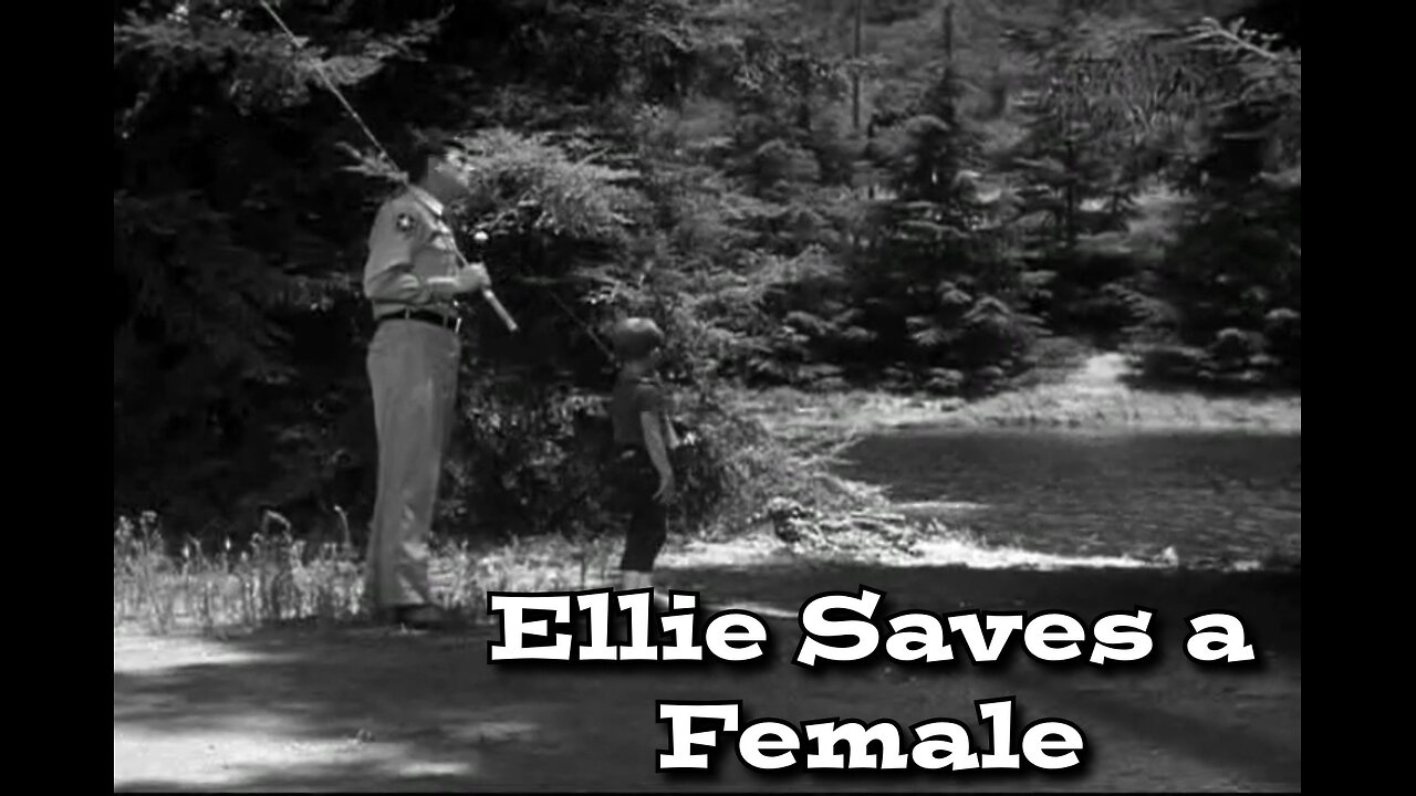 The Andy Griffith Show - "Ellie Saves a Female"