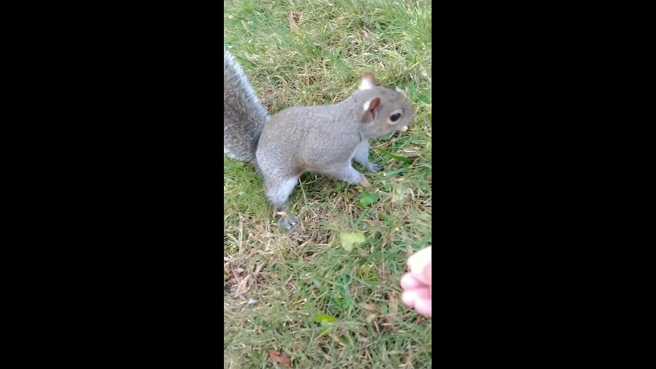 I love spending time with my cute friend Mika The Squirrel 🐿️❤️🐾