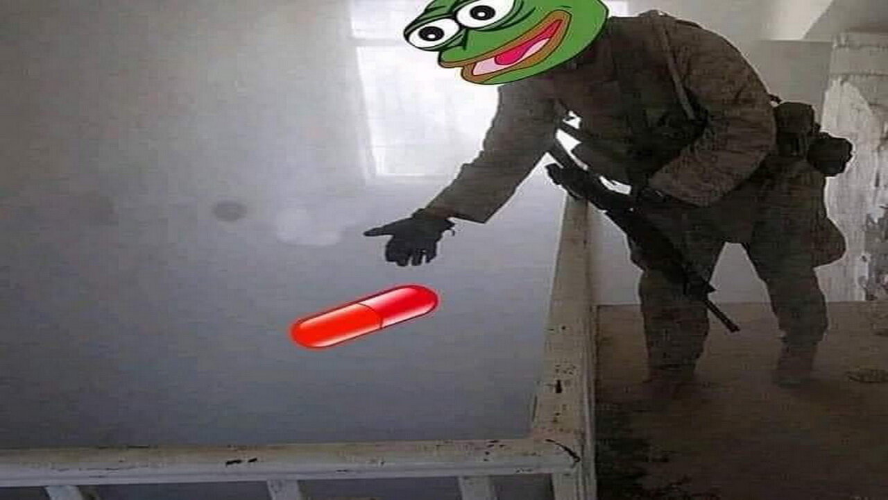 fren news17 + How do you SET a TRAP + 3