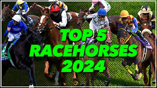 Best Racehorses 2024 | Stayers Edition