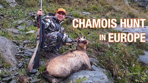 Chamois Hunt in Italy's High Alps