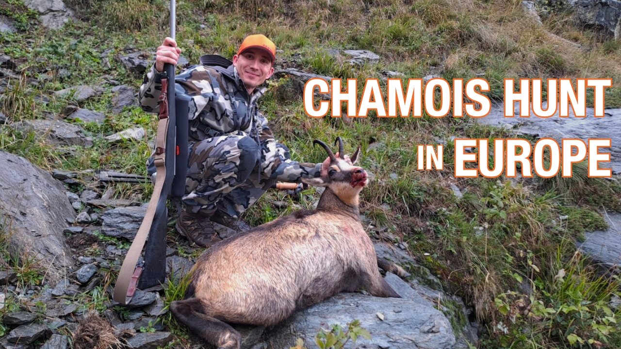 Chamois Hunt in Italy's High Alps